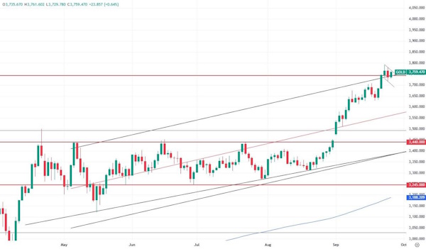 Золото продолжает рост